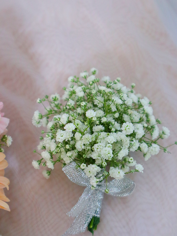 hoa cai ao ngay chung doi