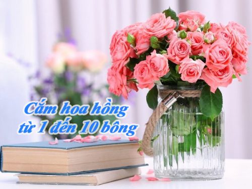 cam binh hoa hong tu 1 den 10 bong