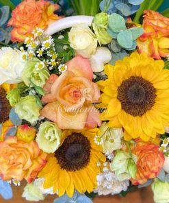 dac diem gio hoa tone mau vang ruc ro