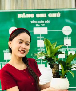 thiet moc trong nuoc de ban