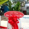 Chậu Cây Kim Tiền Để Bàn Tặng Khai Trương