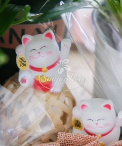 Giỏ Cây Hạnh Phúc Quà Tặng 9 gio cay hanh phuc qua tang 2