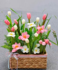 Trang Chủ 114 Lẵng Hoa Tulip Hồng Pastel