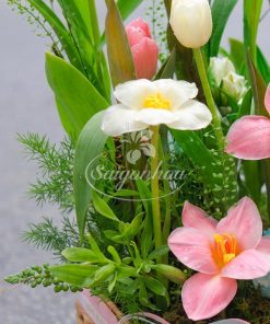 Lẵng Hoa Tulip Hồng Pastel 10 lang hoa tulip hong pastel 3