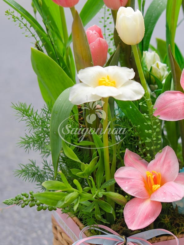 Lẵng Hoa Tulip Hồng Pastel 5 Lẵng Hoa Tulip Hồng Pastel - Ảnh 5