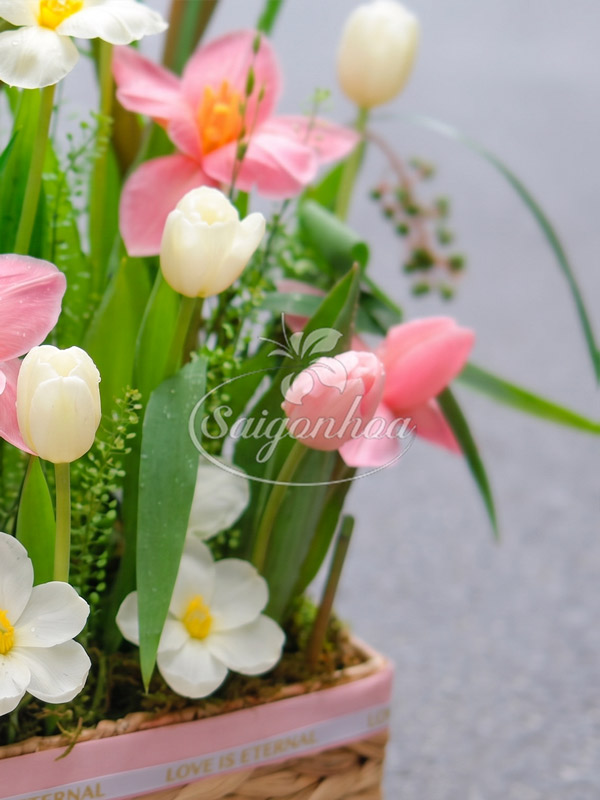Lẵng Hoa Tulip Hồng Pastel 6 Lẵng Hoa Tulip Hồng Pastel - Ảnh 6