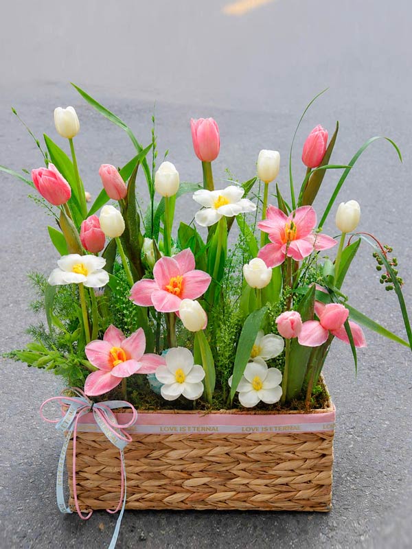 Lẵng Hoa Tulip Hồng Pastel 1 Lẵng Hoa Tulip Hồng Pastel