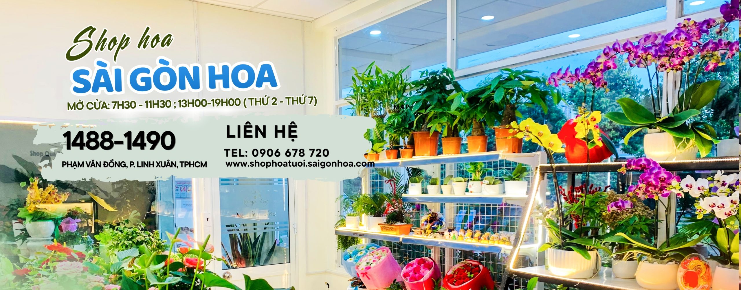 Banner shop hoa scaled