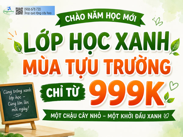 lop hoc xanh mua tuu truong