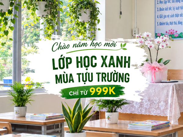 lop hoc xanh tuu truong