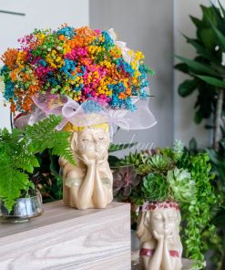 Bình Sen Đá Cô Gái Quà Tặng - Ảnh 3