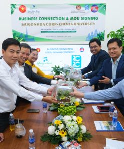 Vali Sen Đá Logo Quà Tặng 9 Vali Sen Đá Logo Quà Tặng - Ảnh 3