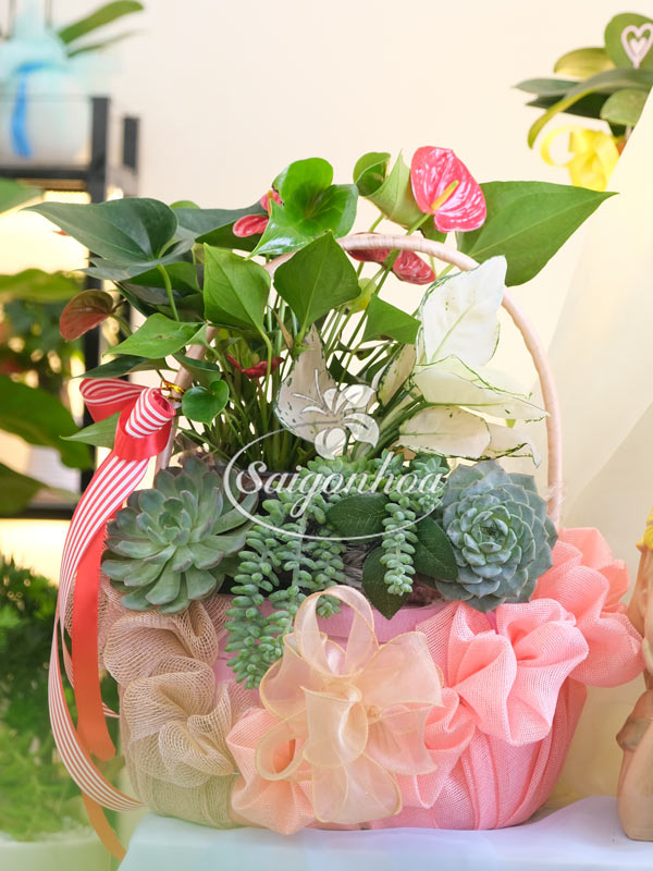 THÁNG TRAO YÊU THƯƠNG THÁNG GỬI TRI ÂN 18 gio cay qua tang