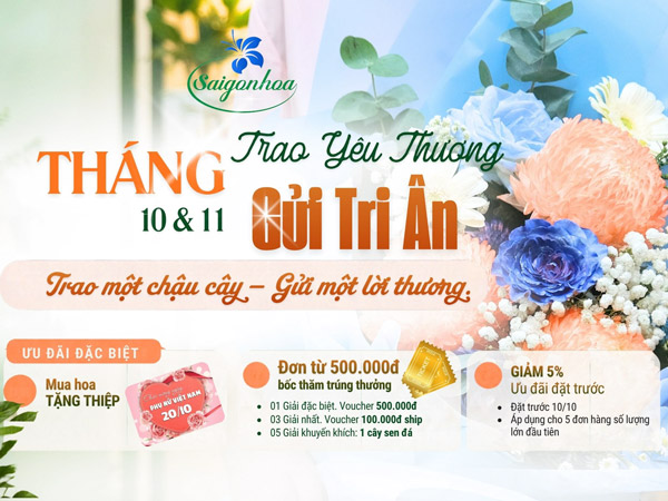 khuyen mai thang 10 11